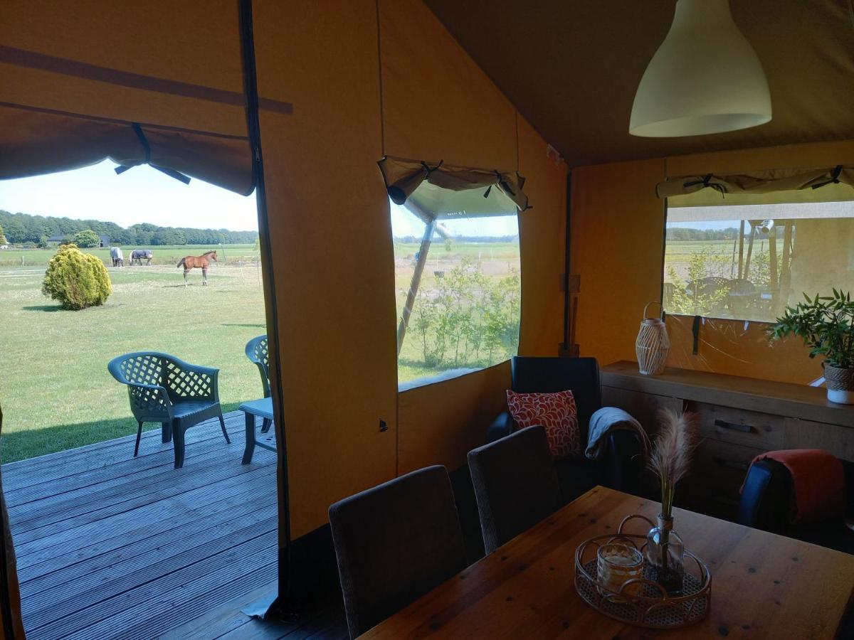 Comfort Safaritent 6 Pers En Mini Camping Zwiggelte المظهر الخارجي الصورة